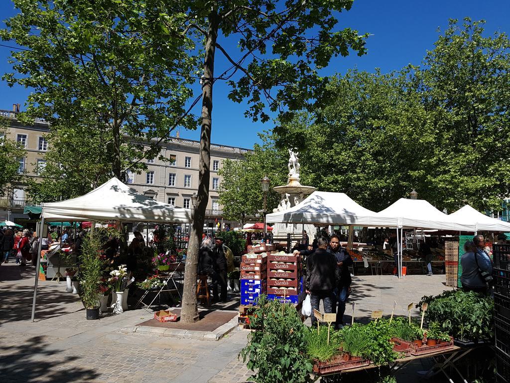 Penthouse Apartment Overlooking Place Carnot การ์กาซอน ภายนอก รูปภาพ